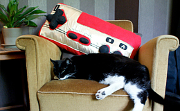 Famicom Pillow!!!