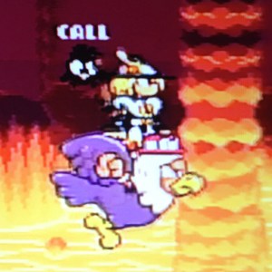 Hamelin Violin Hiki - Buddy Bird