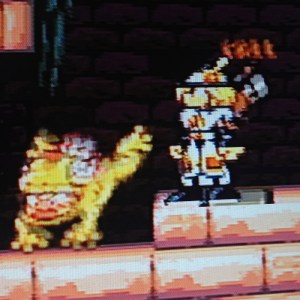 Hamelin Violin Hiki - Buddy Frog